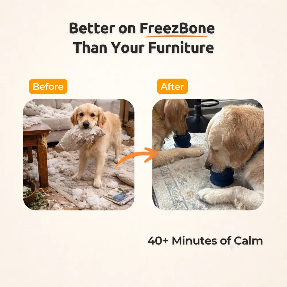 Freezball - Durable Fillable Dog Chew Bone