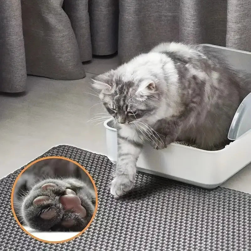 Extra Large Dual-Layer Cat Litter Mat, Litter Box, EVA Material, Anti-Odor, Non-Slip, Easy-Clean, Durable Indoor Mat for Pet Waste Management