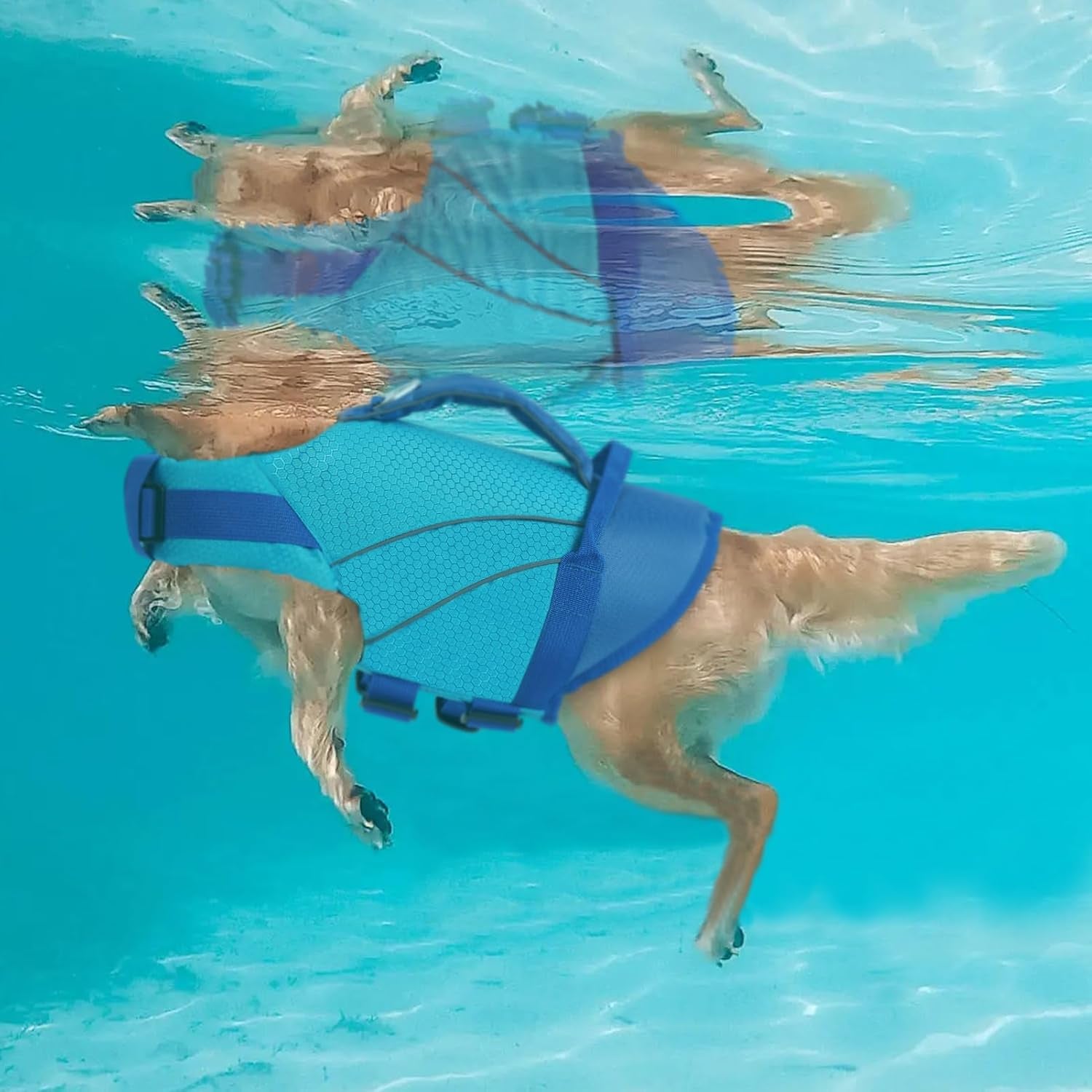 Dogs Life Jackets for Small Dogs, Dog Life Vest for Boating, Lightweight Life Jacket for Pets with Chin Float, Ripstop Puppy Swimming Vest with Superior Buoyancy (Blue,Xs)