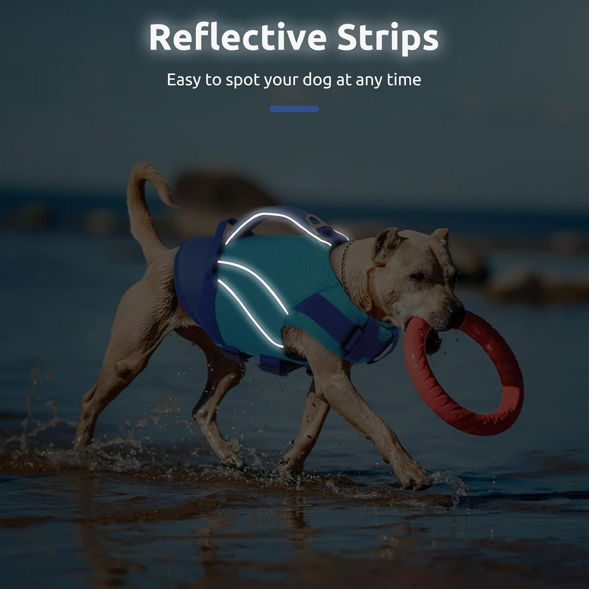 Dogs Life Jackets for Small Dogs, Dog Life Vest for Boating, Lightweight Life Jacket for Pets with Chin Float, Ripstop Puppy Swimming Vest with Superior Buoyancy (Blue,Xs)